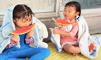 만정초병설유치원 ‘수박 수영장 여름 축제’
